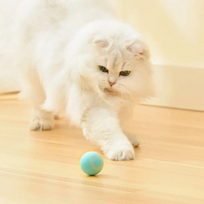 Interaktivna Loptica za Mačke TwitchBall