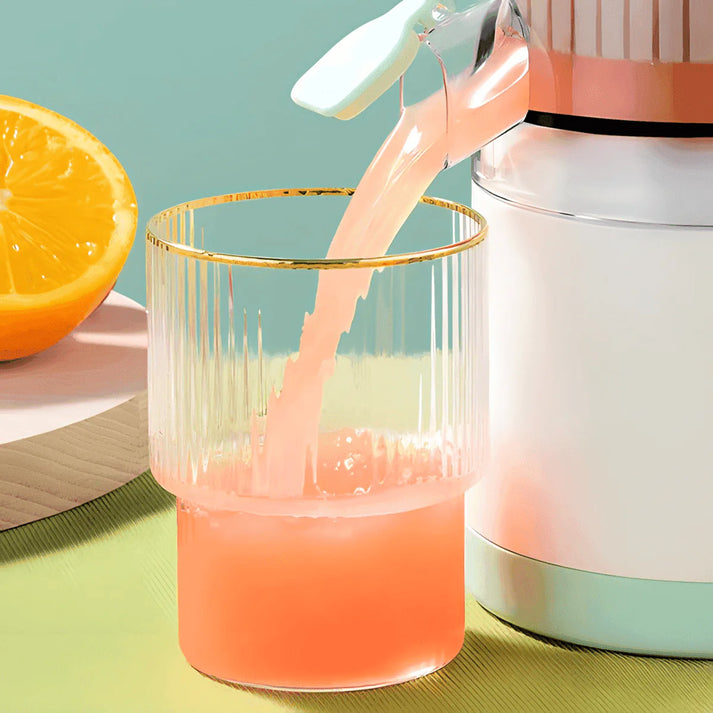 JuicePro – Prenosivi električni sokovnik za voće